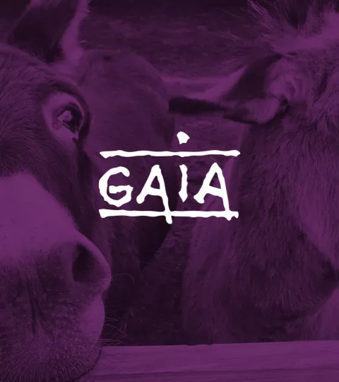 GAIA